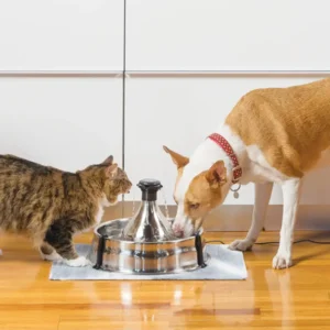 360 Stainless Steel Pet Fountain - 3.8 L