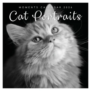 Kalender - 2026 - Cat portraits - 30x30cm