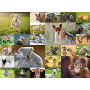 Puzzel - Schattige babydieren - 200st. XXL