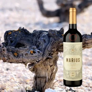 Bodegas Piqueras Marius Crianza