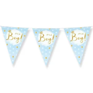 Vlaggenlijn - It's a boy - Folie - 10m