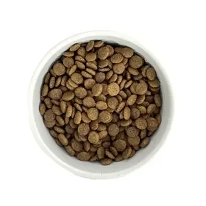 Budget Premium Quality Senior 1 kg