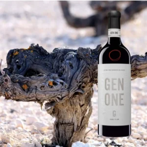 Bodegas Piqueras GEN ONE Tinto