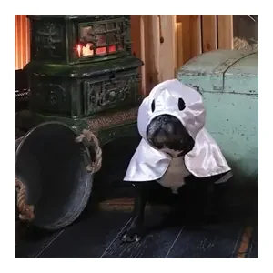 Croci Hondencape Ticky Ghost 25 cm