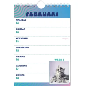 Week kalender - 2024 - Rachael Hale - Katten