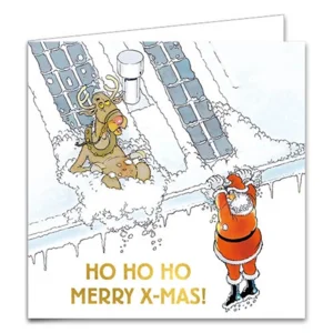 Kaarten - Kerst - Jan van Haasteren - Boom op auto & glijden van het dak - 10st.