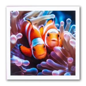 Kaart - Paperclip - Call of the wild - Clownvissen - VB0.0039