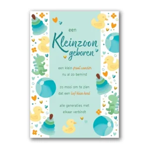 Kaart - Een kleinzoon geboren - Lifetime of love - 01-LV.GBE.0030
