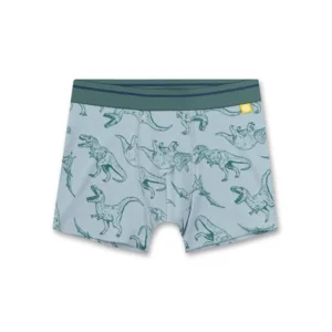 Sanetta boxer Jongens: Dino ( SAN.27 )