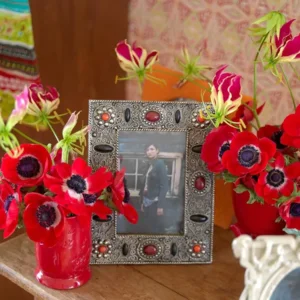 Anemonen Hollandia