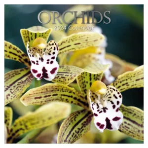 Kalender - 2024 - Orchideeën - 30x30cm