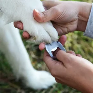 Nite Ize Doohickey Tool voor de Hond Roestvrij Staal KMTDT-11-R6