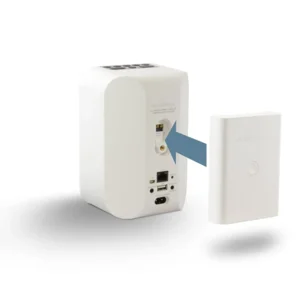 Bluesound BP 100 Battery Pack Wit