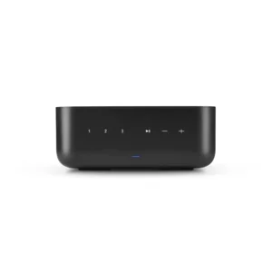 Denon Home Amp