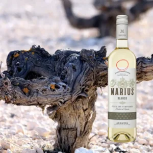 Bodegas Piqueras Marius Blanco