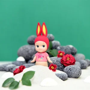 Hello! Jeju - Box van 6