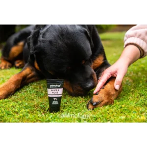 Animology Paws & Nose Balm 50 ml