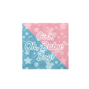 Paper Dreams Servetten Gender Reveal 33x33cm - 16st