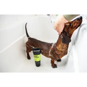 Animology Deep Clean Intensive Dog Shampoo 250 ml