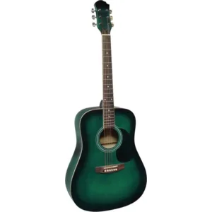 MSA CW180 westerngitaar starter