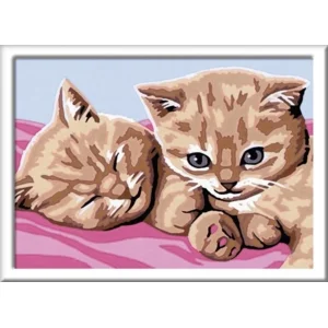 Schilderen op nummer - Knuffelvriendjes - 18x13cm