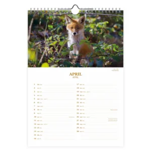 Maand kalender - 2027 - Dutch wildlife - 23,5x33,5cm