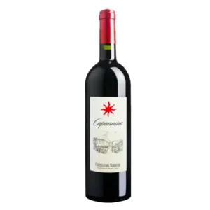 Castello del Terricio Tassinaia