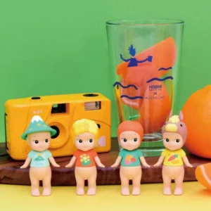 Hello! Jeju - Box van 6