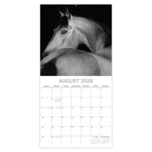 Kalender - 2026 - Horse portraits - 30x30cm