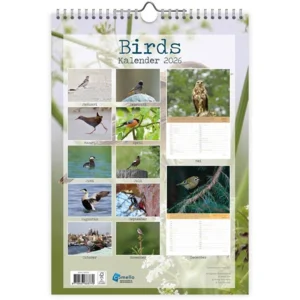 Maand kalender - 2026 - Vogels - Birds - 23,5x33,5cm