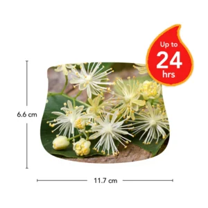 Outdoor Candle - Linden Tree