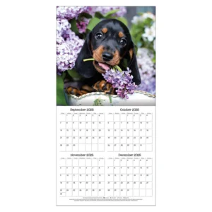 Kalender - 2026 - Speelgrage puppies - 30x30cm