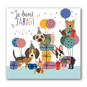 Kaart - Muziek - Je bent jarig! - 011
