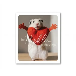 Kaart - Photo factory - Een piepklein berichtje voor jou - nr.41