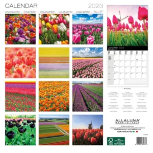 Kalender - 2023 - Tulpen - 30x30cm