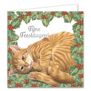 Kaarten - Kerst - Franciens katten - Hulst & Denneboom - 10st.