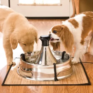 360 Stainless Steel Pet Fountain - 3.8 L