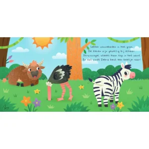 Boek + 20 memory kaarten - Kun je mij vinden? - Wilde dieren