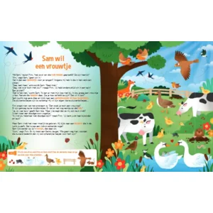 Boek - Speuren naar vogels