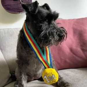 hondenspeeltje medaille