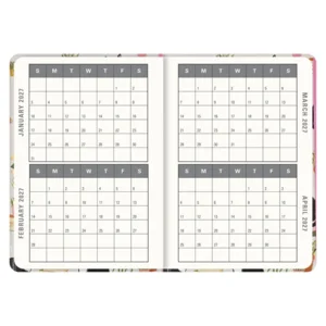 Agenda - 2027 - Compact - 16 maanden - Knappe katten - 12,7x17,8cm