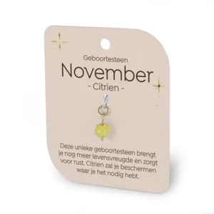 Gouden Charm - Geboortesteen - November