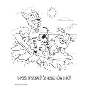 Boek - Kleurboek - Paw patrol