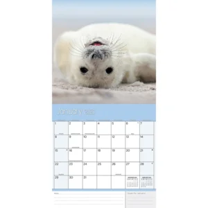 Kalender - 2023 - Baby animals - 30,5x30,5cm