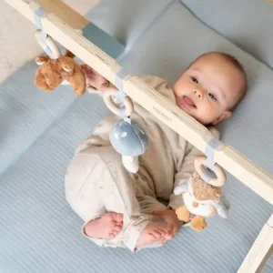 Babygym - Forest Friends - Blauw - Hout