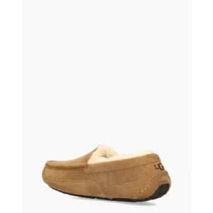 Ugg Ascot Bruin Herenpantoffels