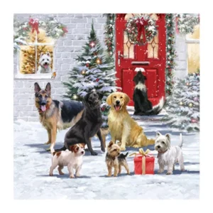 Kaart - Kerst - Tracks - Hondjes met een cadeautje - XP439A