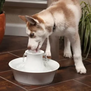 Avalon Pet Fountain - 2 L