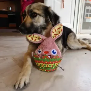 hondenspeeltje konijn