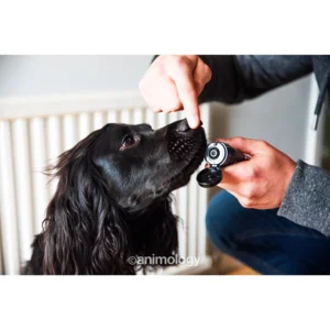 Animology Paws & Nose Balm 50 ml